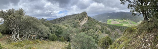 Olvedo