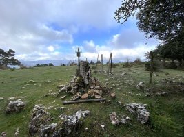 Tontorra