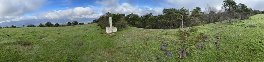 Tontorra