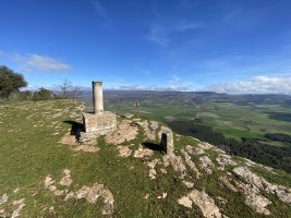 Tontorra
