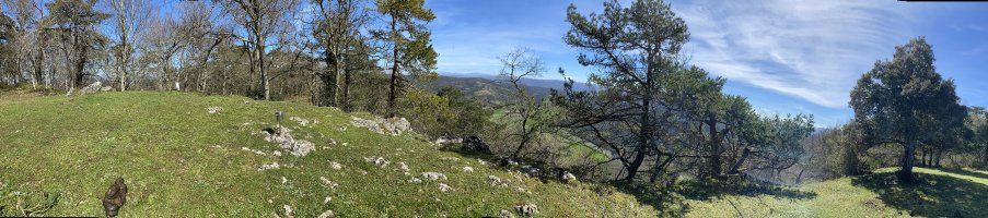 Tontorra