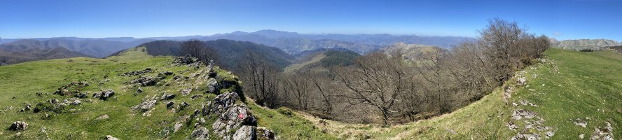 Tontorra