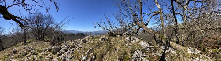 Tontorra