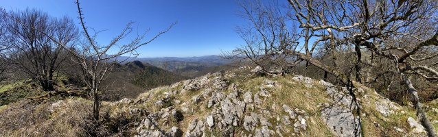 Tontorra