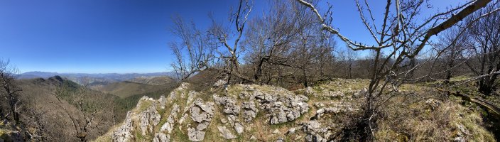 Tontorra