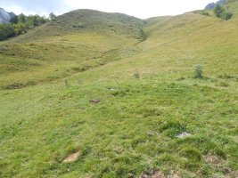 coig arras