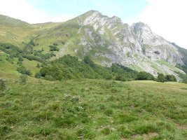 coig arras