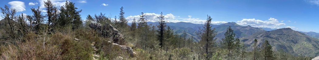Tontorra
