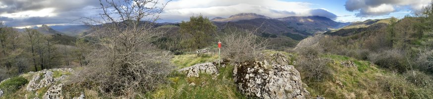 Tontorra