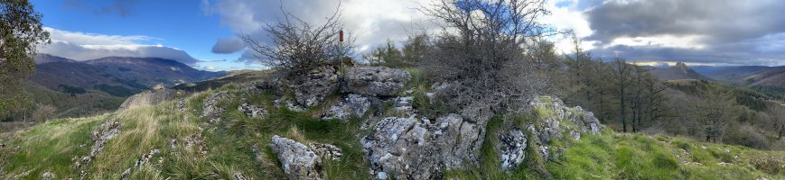Tontorra