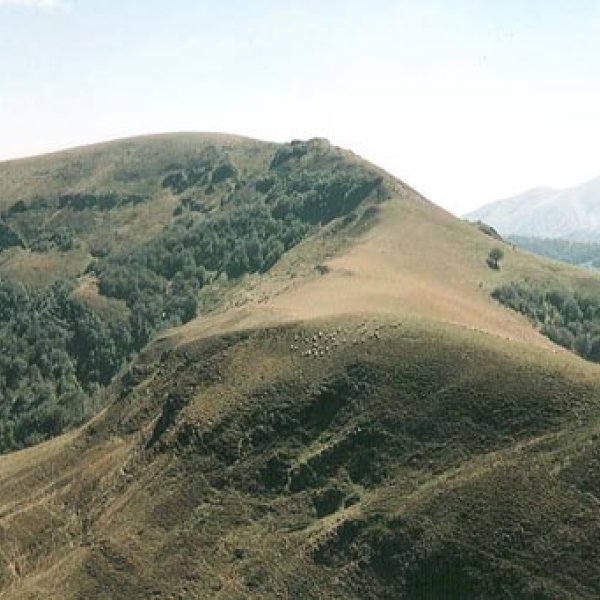 Mendebaldetik