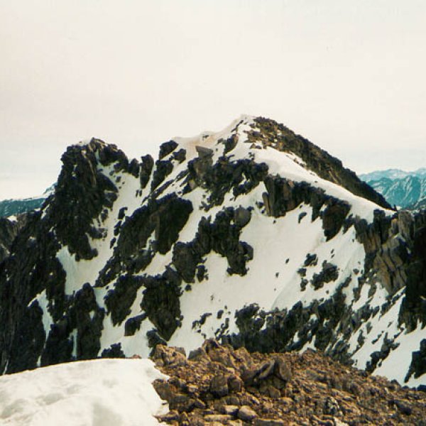 Tontorra
