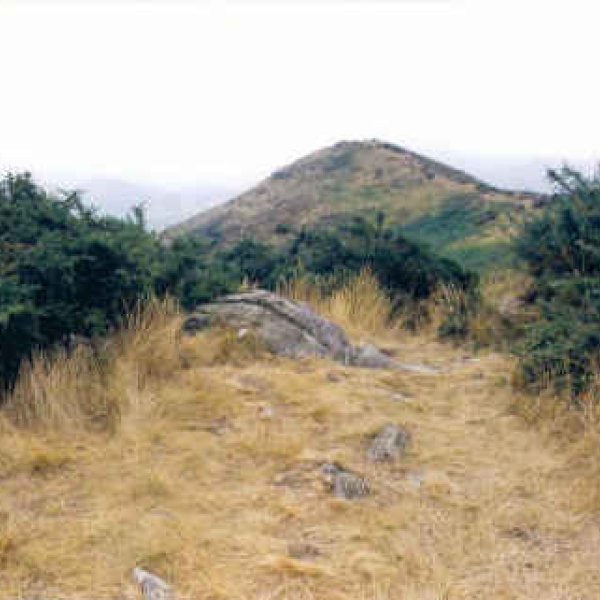 Tontorra