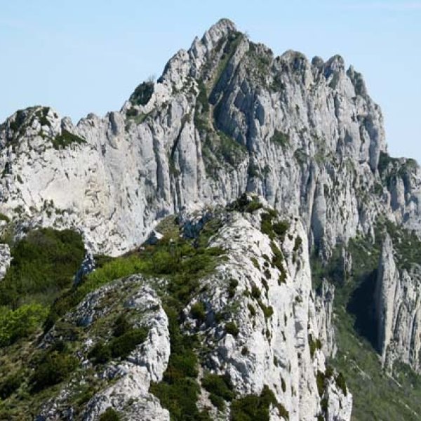 Tontorra Recillatik