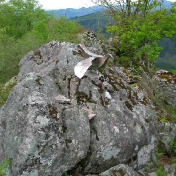 Buzoia eta tontorra
