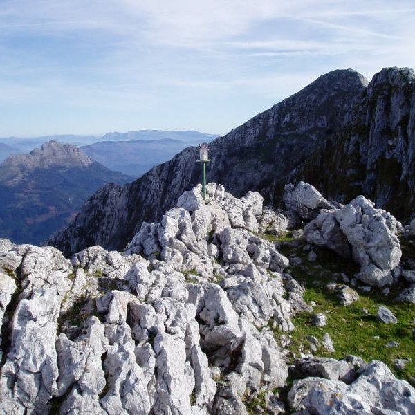 Tontorra