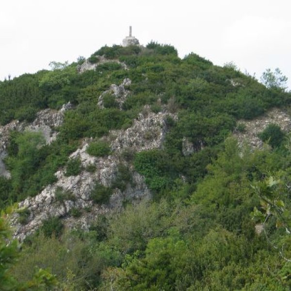 Tontorra