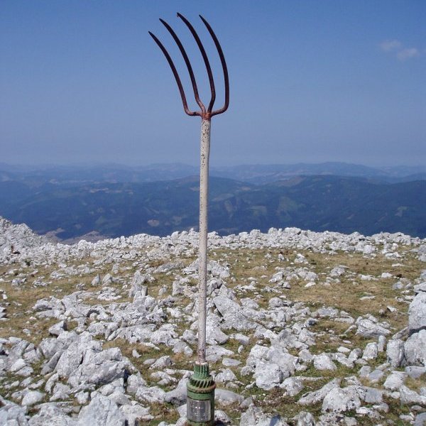 Buzoia