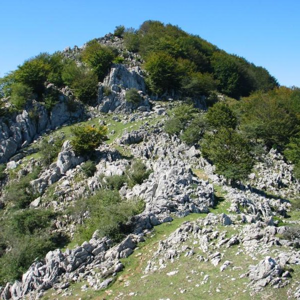 Ekialdeko bizkarra