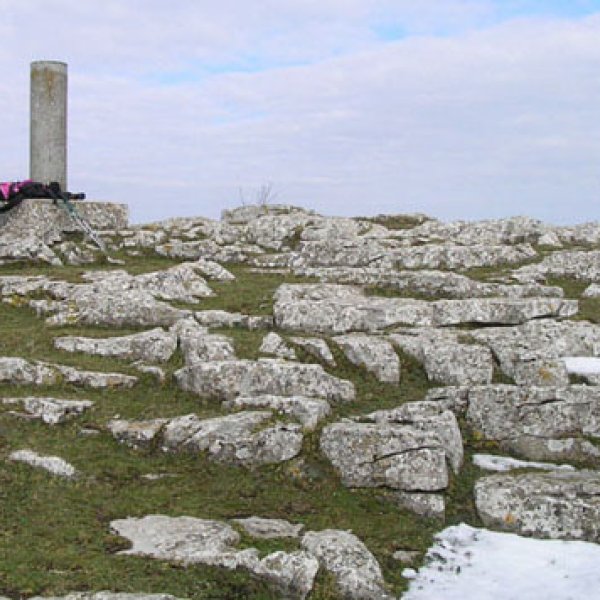Cima