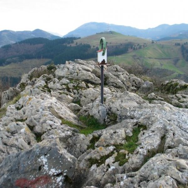 Tontorra
