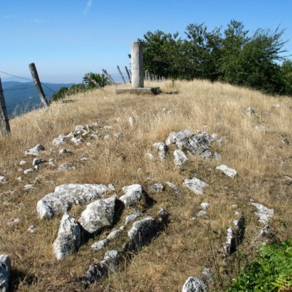 Tontorra