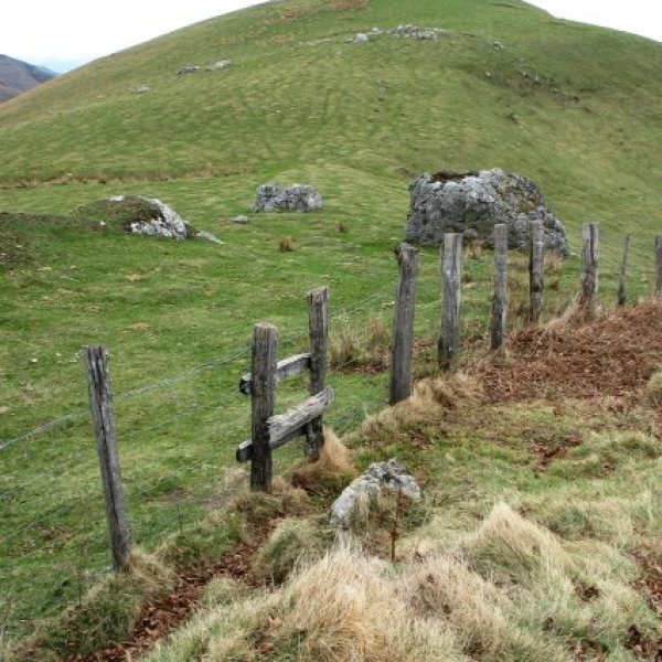 Tontorra