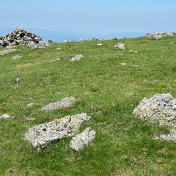 Tontorra