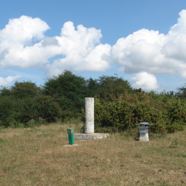 Tontorra