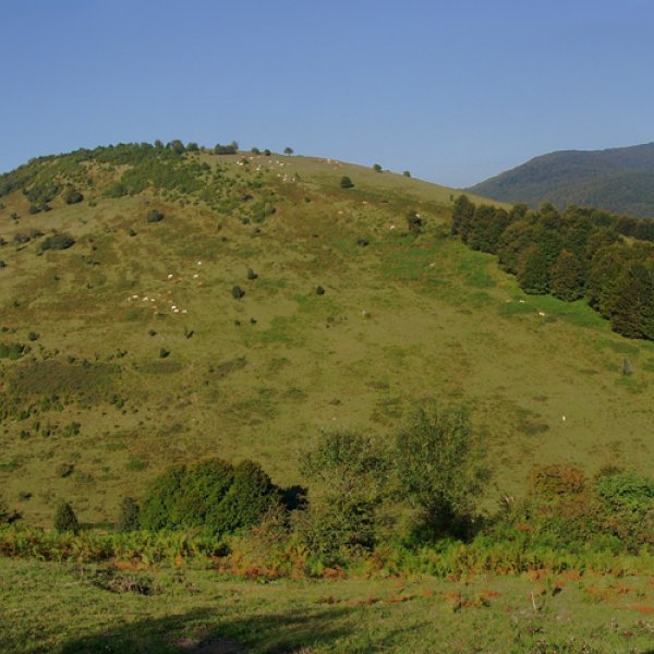 Aritzarte