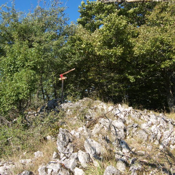 Tontorra