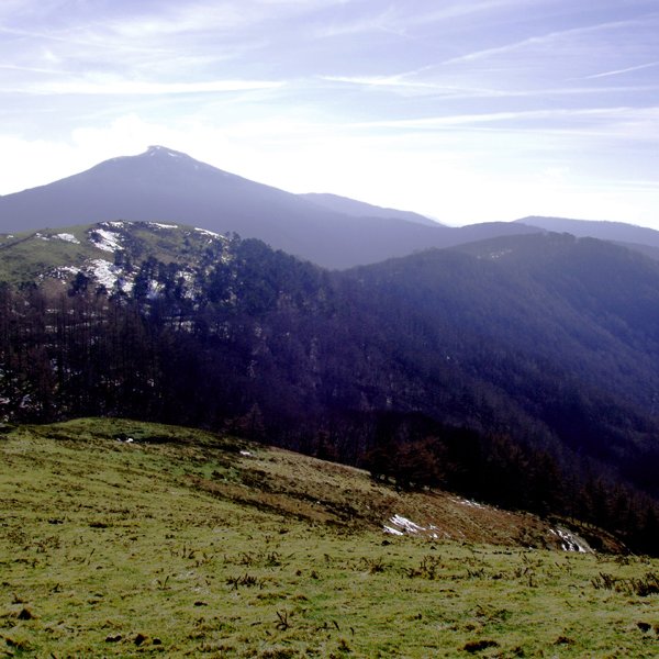 Enekorri eta Zuraun