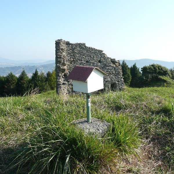Buzoia