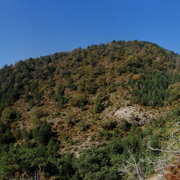 Kurkuxulo