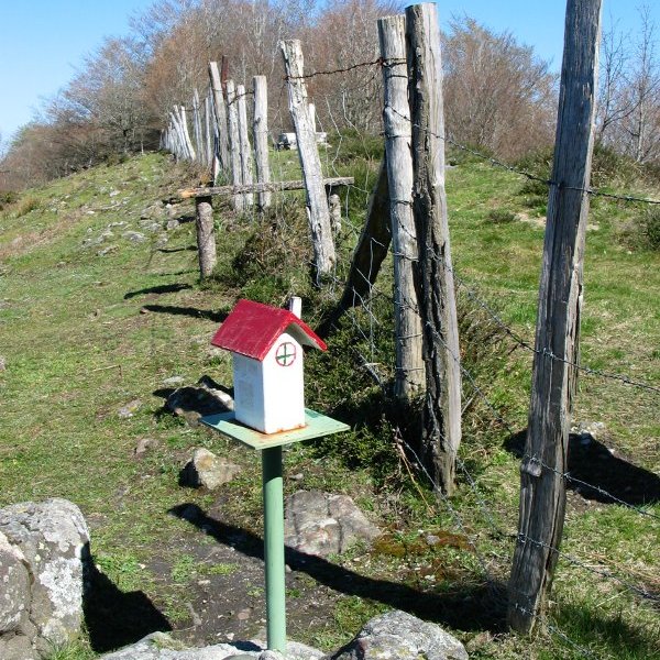 Buzoia