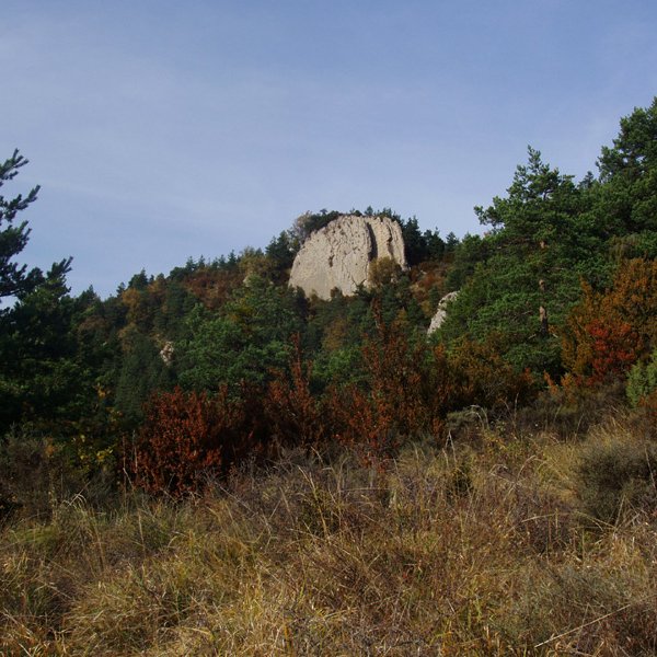 Atsagarbia