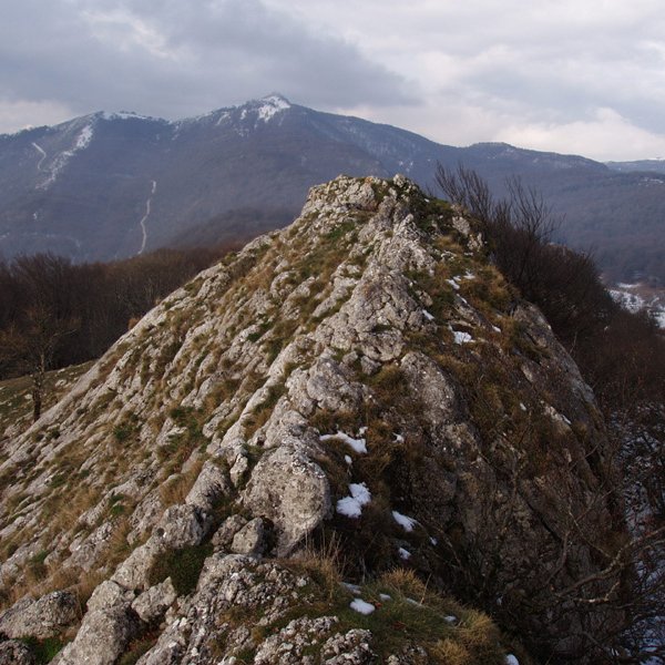 Sollandiko gailurra 