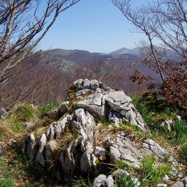 Otsarteko gailurra