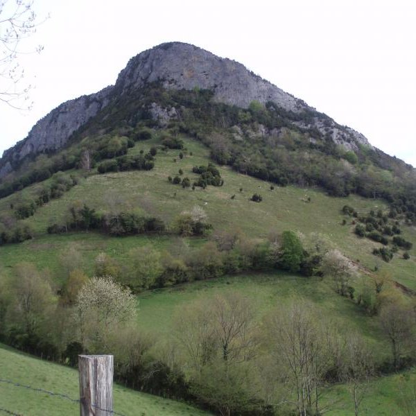 Argibel