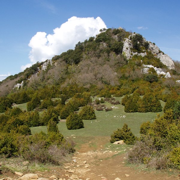 Aiurdi