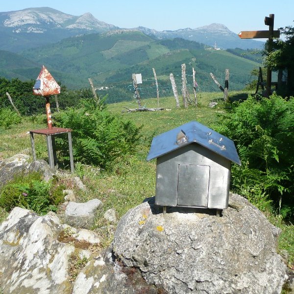 Buzoiak