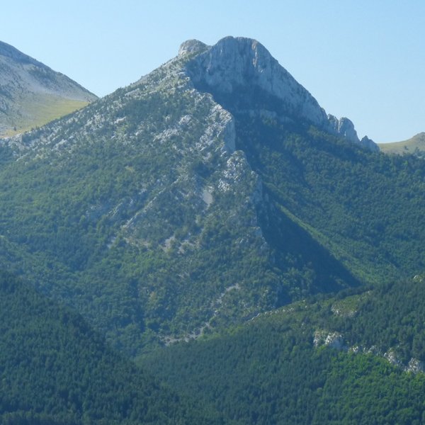 Ezkaurretxikia