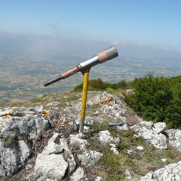 Buzoia