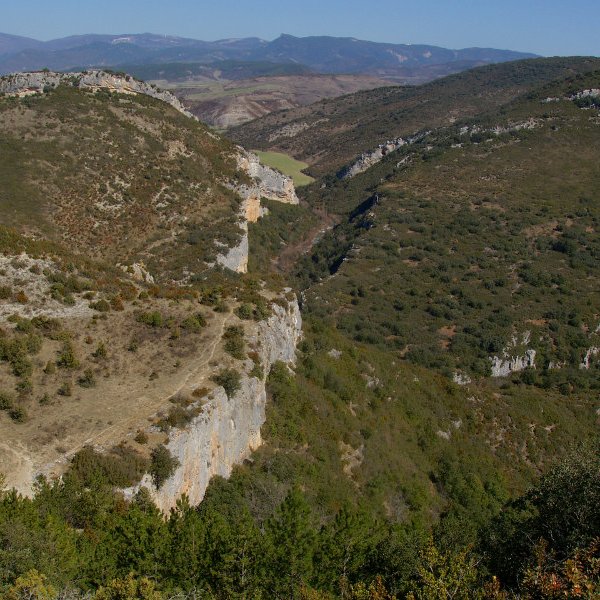 Ugarrongo arroila