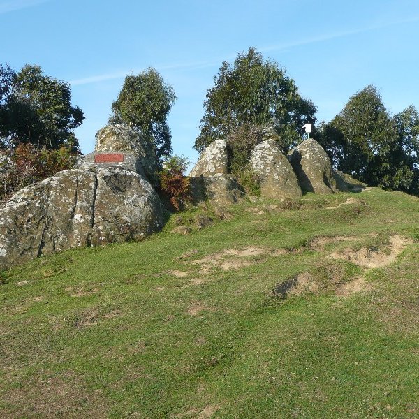 Tontorra