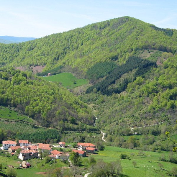 Arraras eta Seanbe