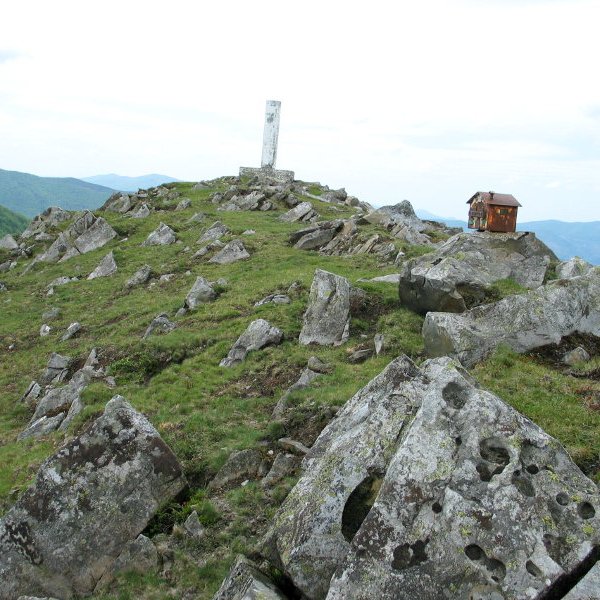 Tontorra