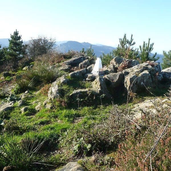 Tontorra