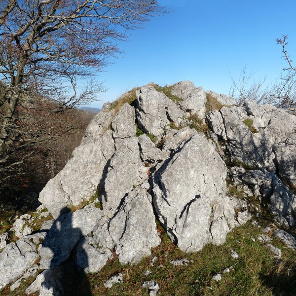 Txurtxurko gailurra