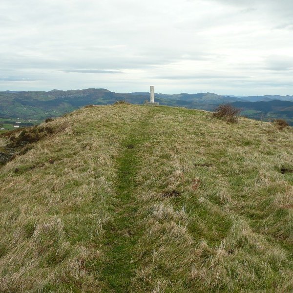 Tontorra